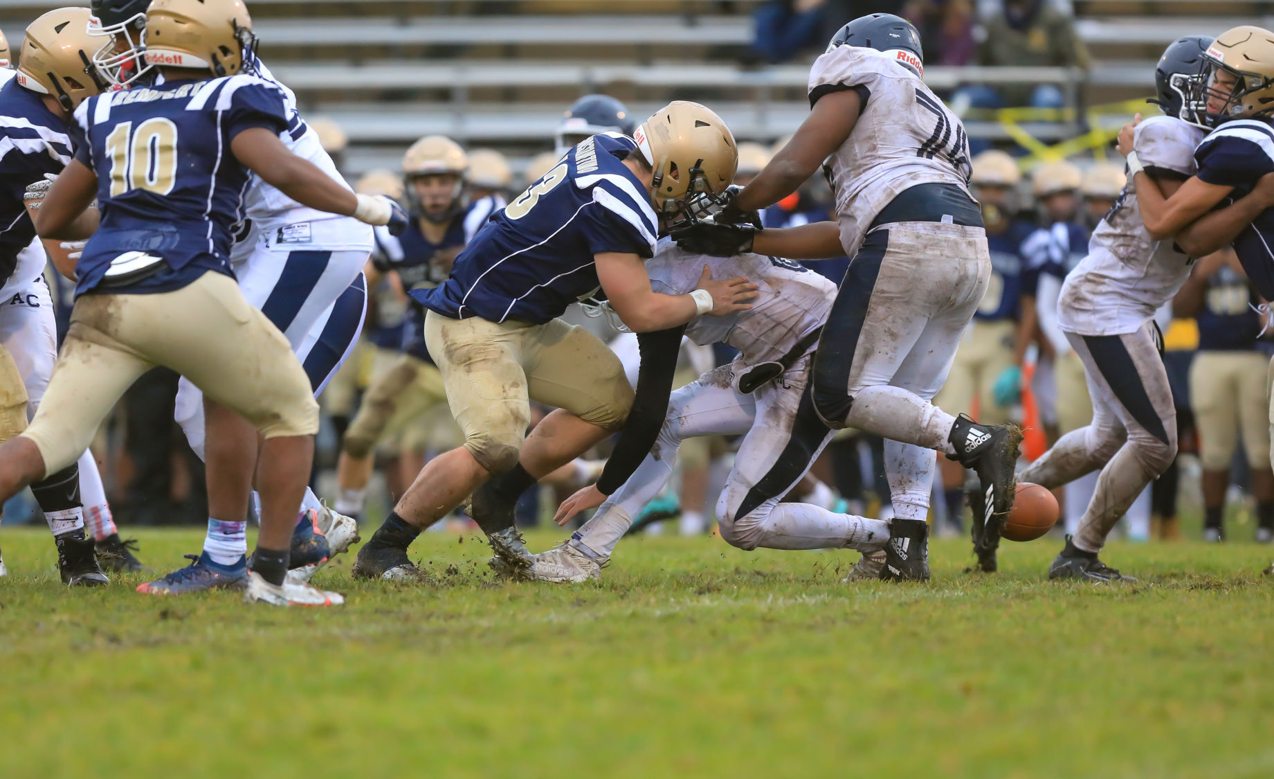 spt_HSFB